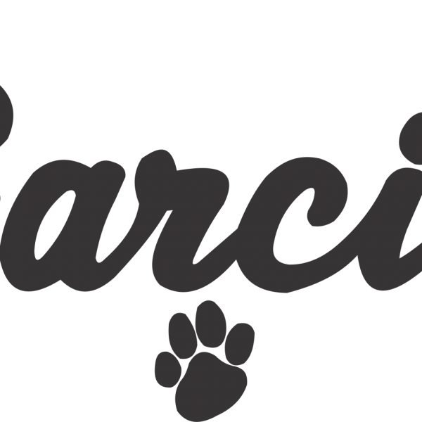 Script with Paws