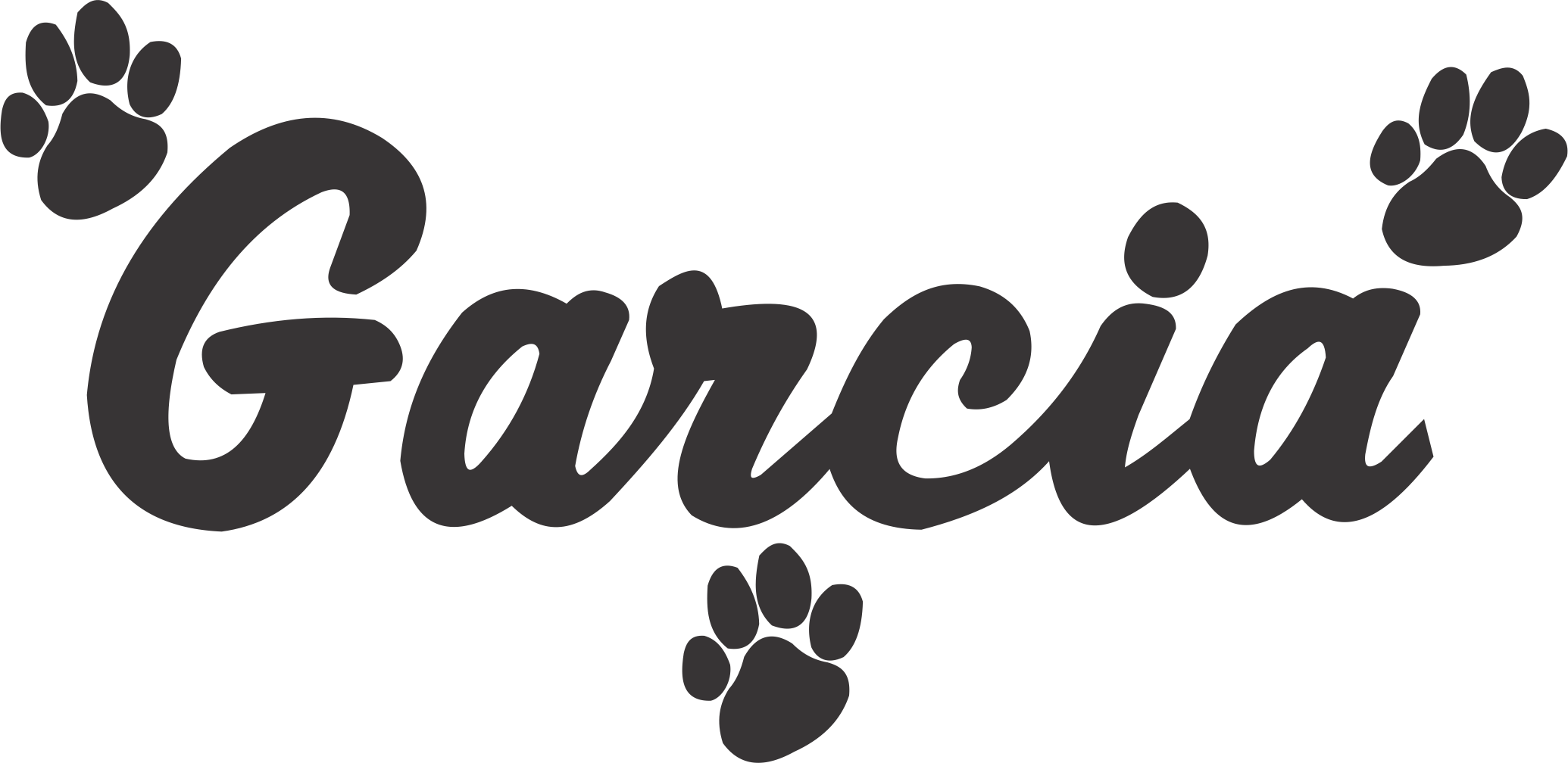 Script with Paws