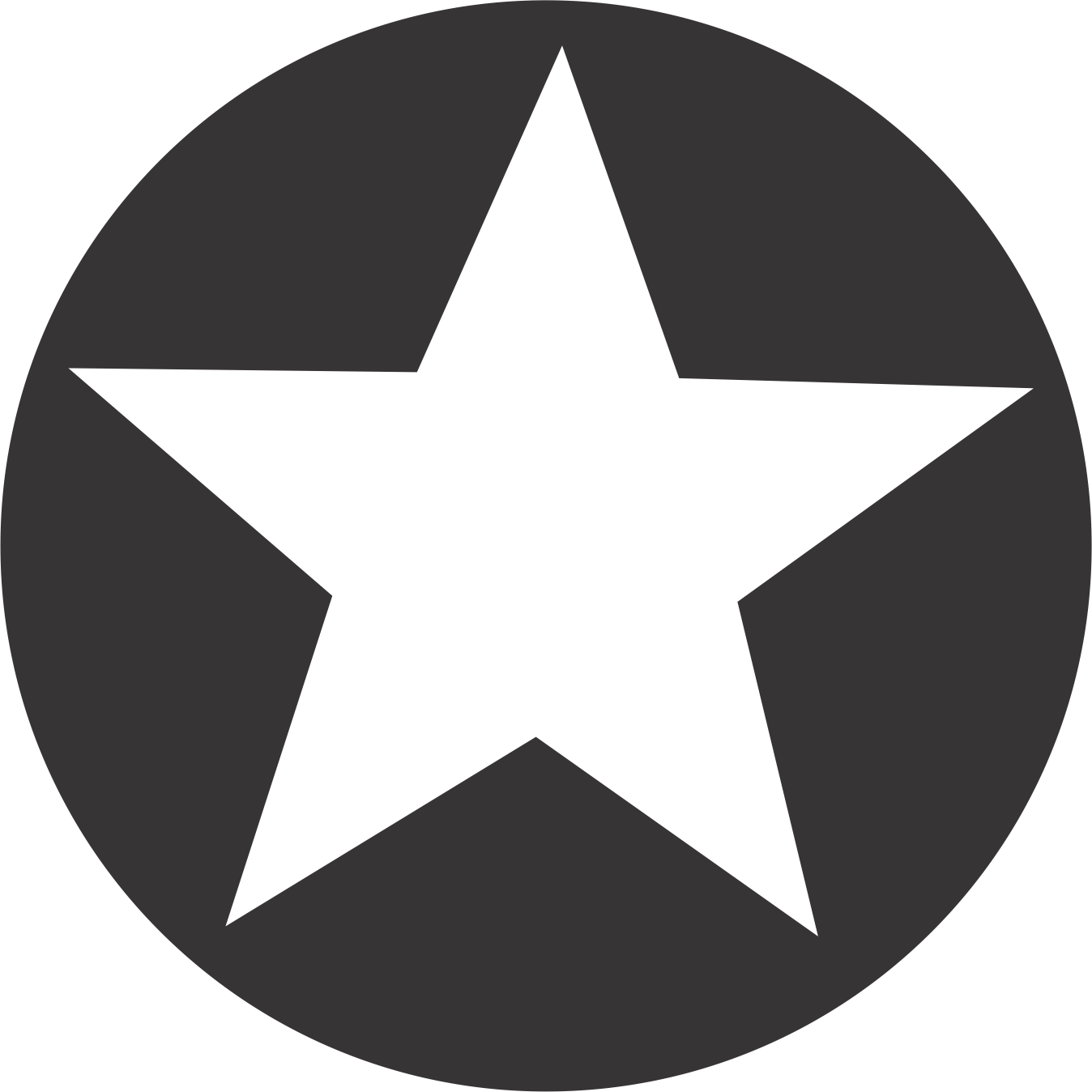 Star In Circle Symbol