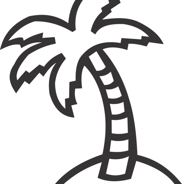 palm tree