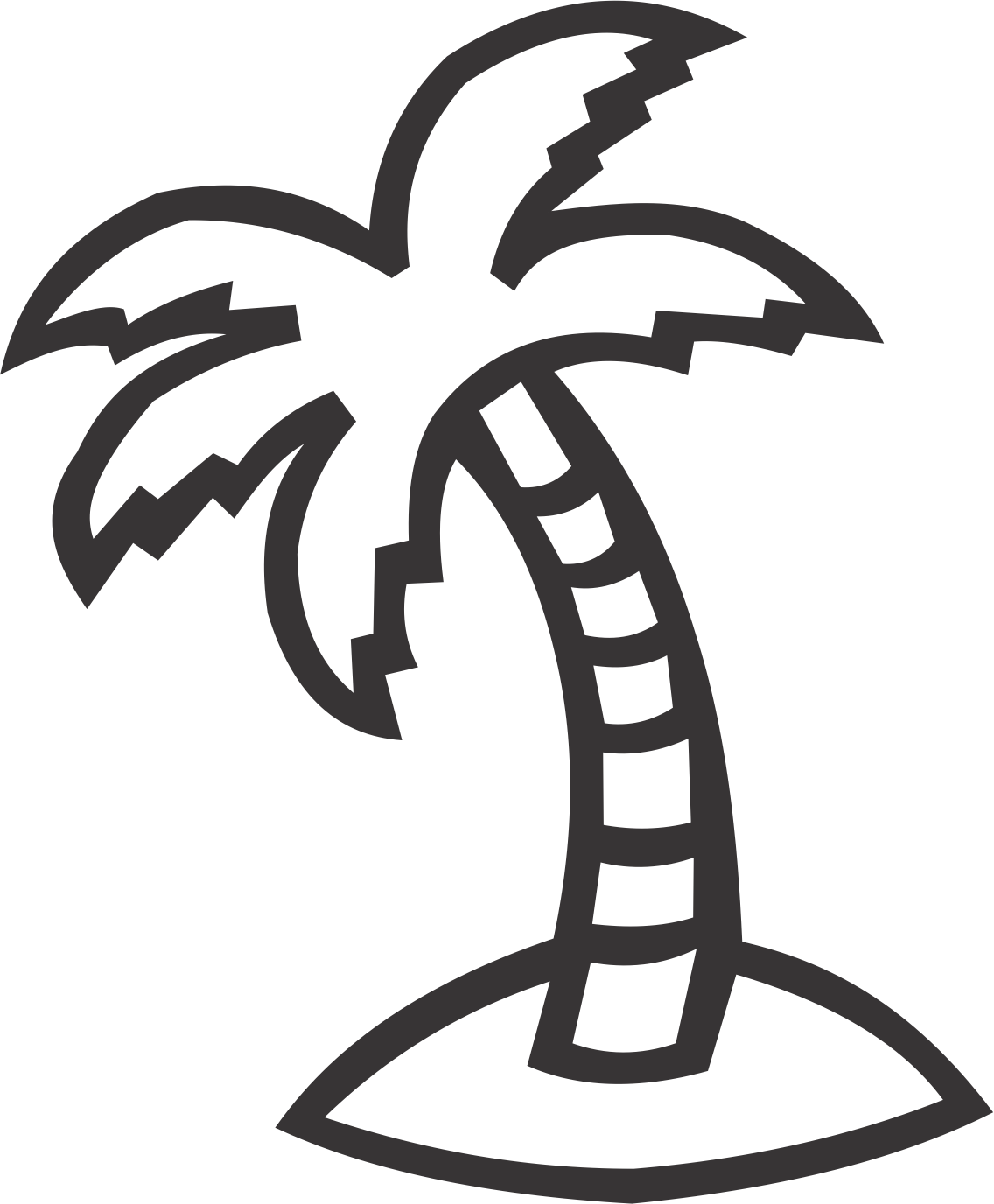 palm tree